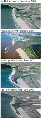 Littoral Sediment From Rivers: Patterns, Rates and Processes of River Mouth Morphodynamics
